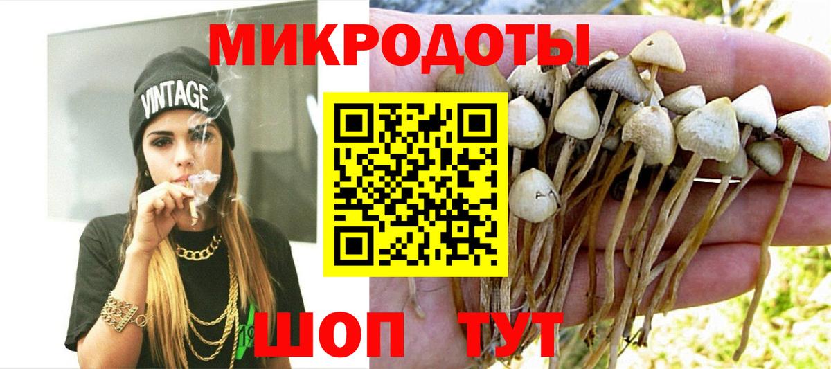 Галлюциногенные грибы Magic Shrooms Новошахтинск